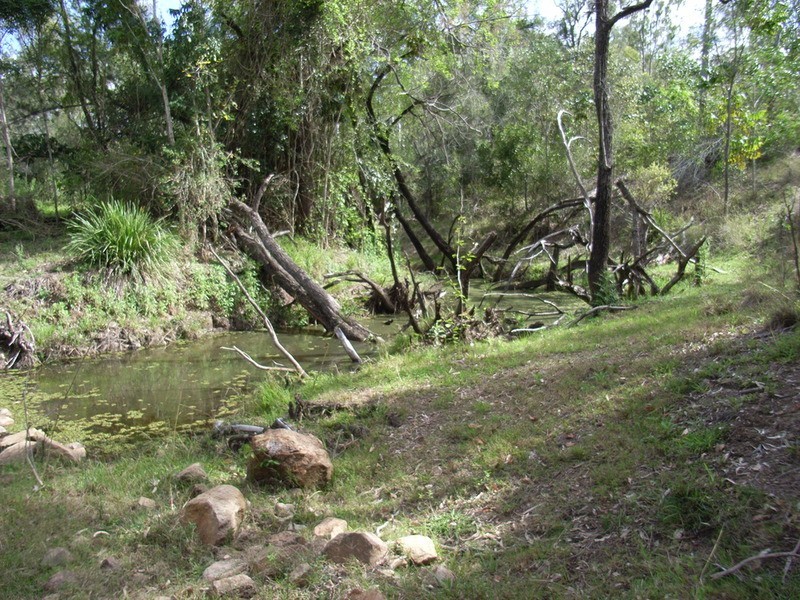 135 East River Pines Road Drive, Delan QLD 4671