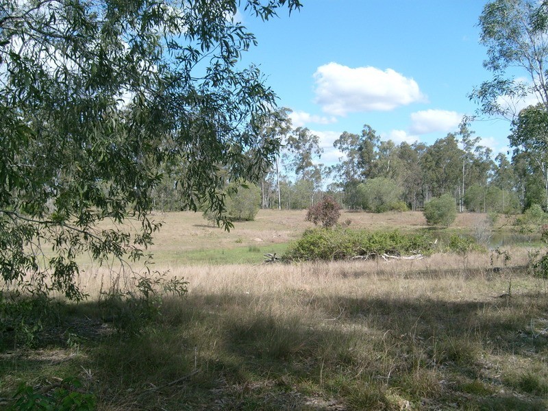 135 East River Pines Road Drive, Delan QLD 4671