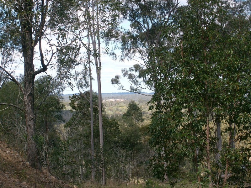 135 East River Pines Road Drive, Delan QLD 4671