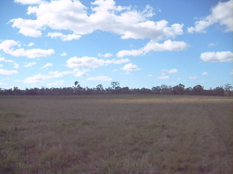 135 East River Pines Road Drive, Delan QLD 4671