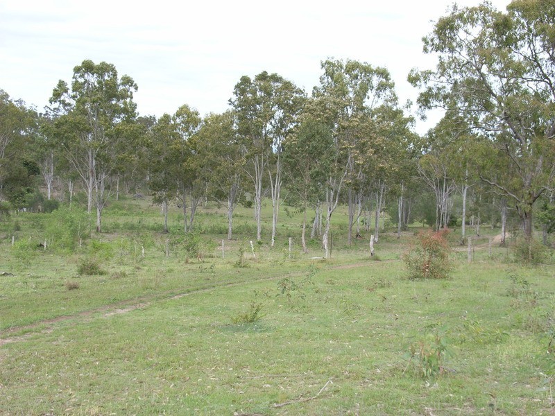 135 East River Pines Road Drive, Delan QLD 4671
