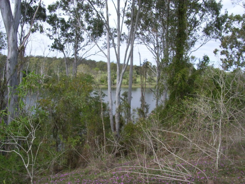 135 East River Pines Road Drive, Delan QLD 4671