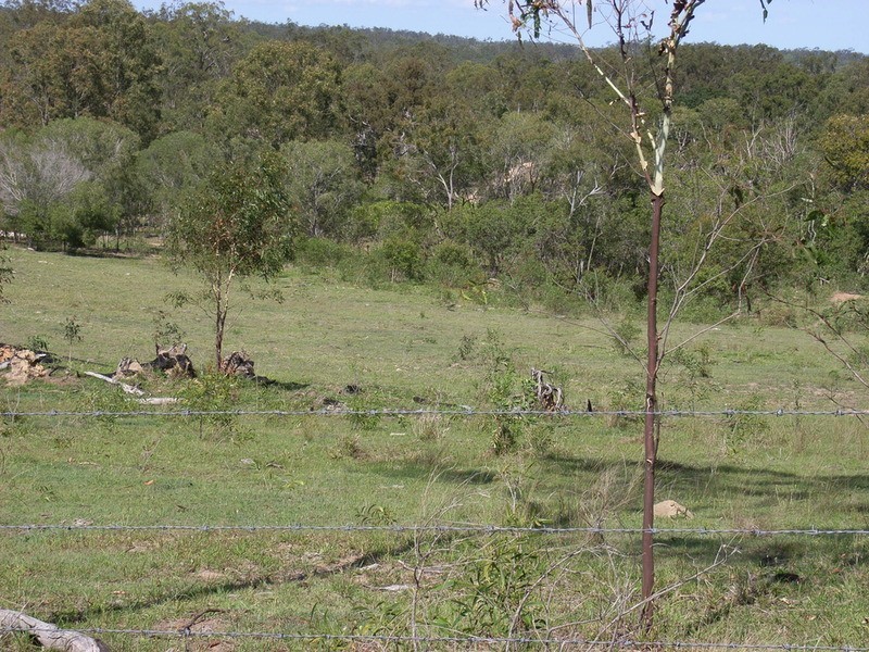 135 East River Pines Road Drive, Delan QLD 4671