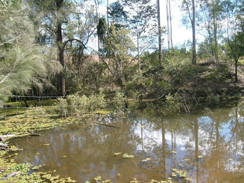 135 East River Pines Road Drive, Delan QLD 4671