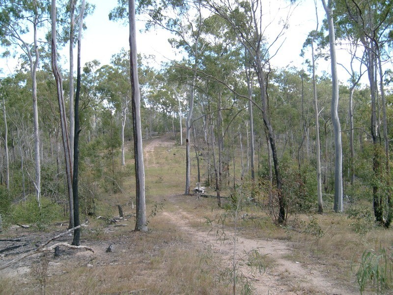 135 East River Pines Road Drive, Delan QLD 4671