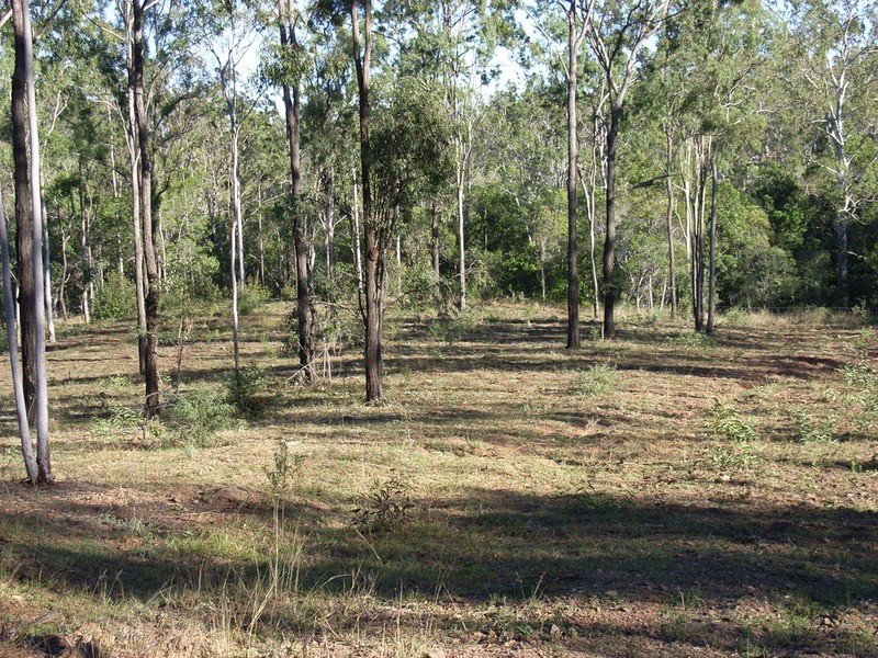 135 East River Pines Road Drive, Delan QLD 4671