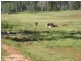 188 Abington Road, Abington QLD 4660