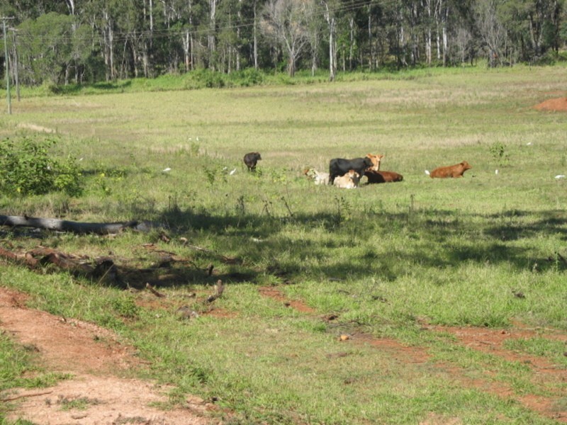188 Abington Road, Abington QLD 4660
