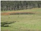 188 Abington Road, Abington QLD 4660