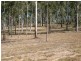 0 Butchers Road, Childers QLD 4660
