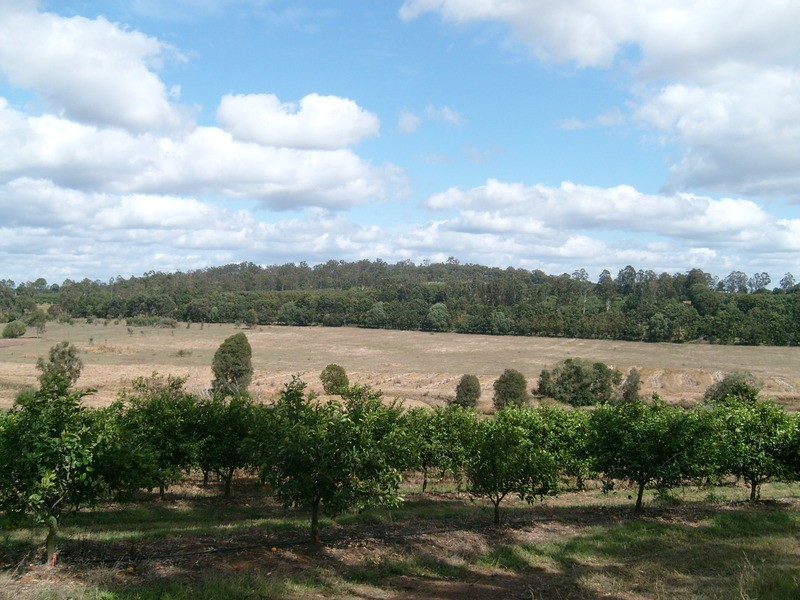 lot 31 Whitebridge Road, Childers QLD 4660