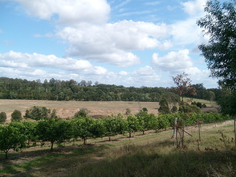 lot 31 Whitebridge Road, Childers QLD 4660