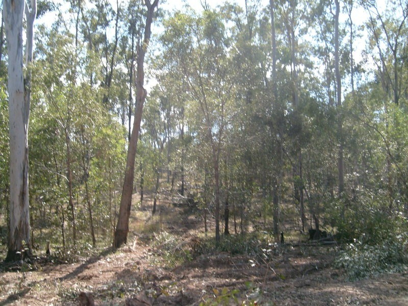 0 Biggenden / Maryborough Road, Brooweena QLD 4620
