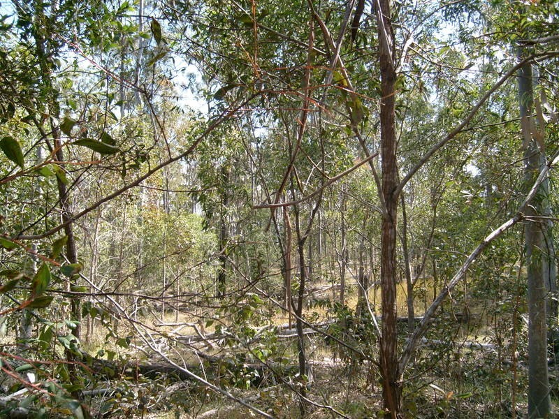 0 Biggenden / Maryborough Road, Brooweena QLD 4620