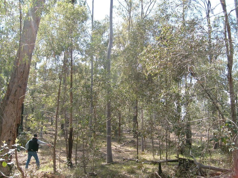 0 Biggenden / Maryborough Road, Brooweena QLD 4620