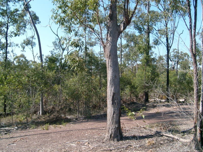 0 Biggenden / Maryborough Road, Brooweena QLD 4620