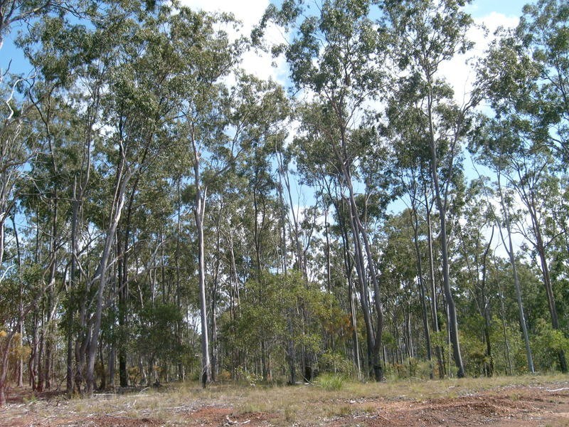 0 Biggenden / Maryborough Road, Brooweena QLD 4620