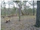 0 Biggenden / Maryborough Road, Brooweena QLD 4620