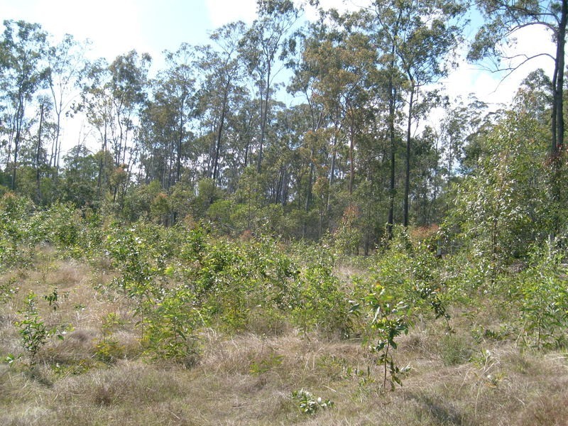 1 Maryborough / Biggenden Road, Brooweena QLD 4620
