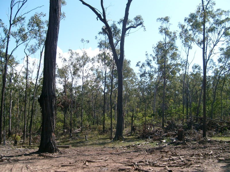 2 Maryborough / Biggenden Road, Brooweena QLD 4620