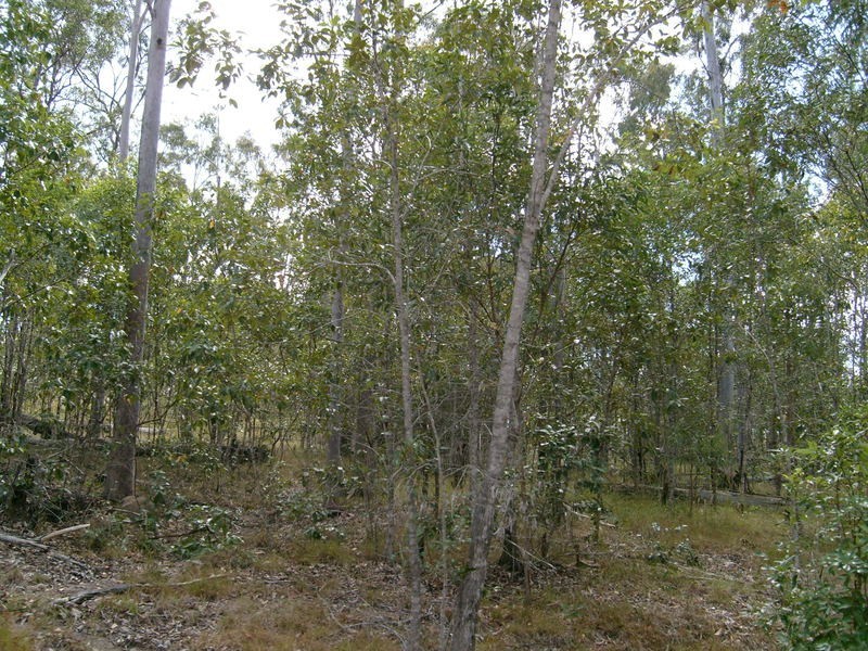 4 Maryborough / Biggenden Road, Brooweena QLD 4620
