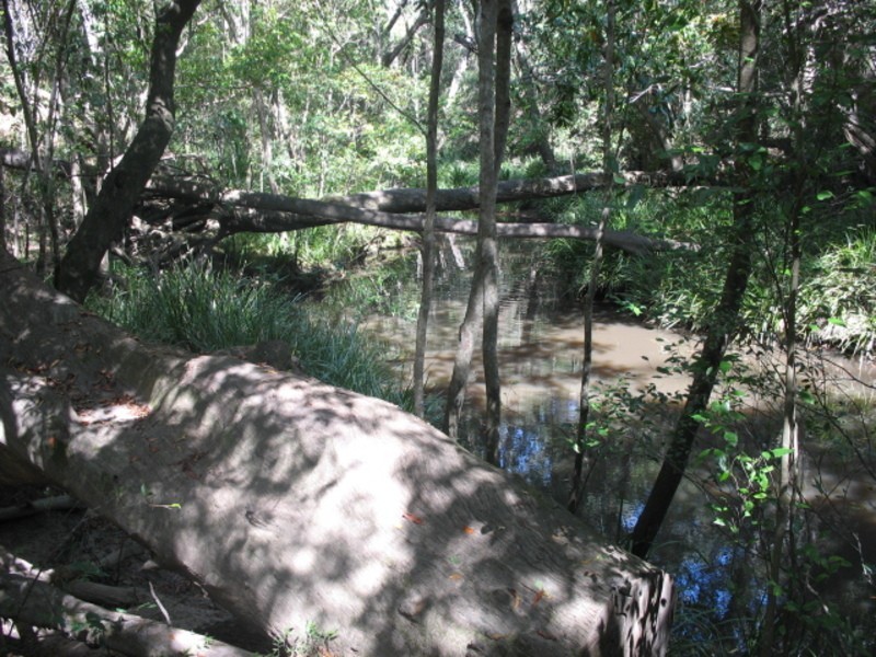 12 Chris-lyn Avenue, Childers QLD 4660