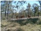 0 Booyal- Dallarnil Road, Booyal QLD 4671