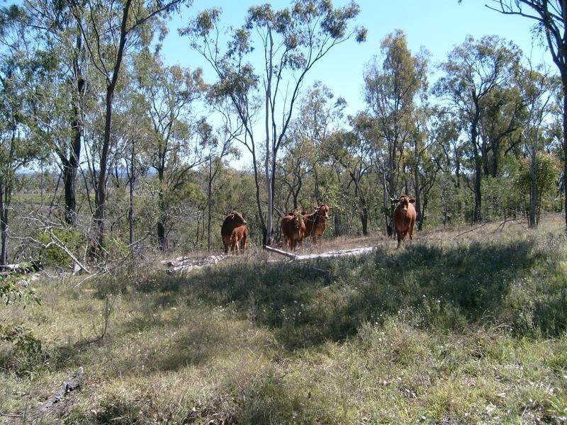 0 Booyal- Dallarnil Road, Booyal QLD 4671