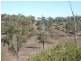 0 Booyal- Dallarnil Road, Booyal QLD 4671