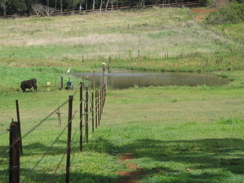 19 Lucketts Road, Childers QLD 4660