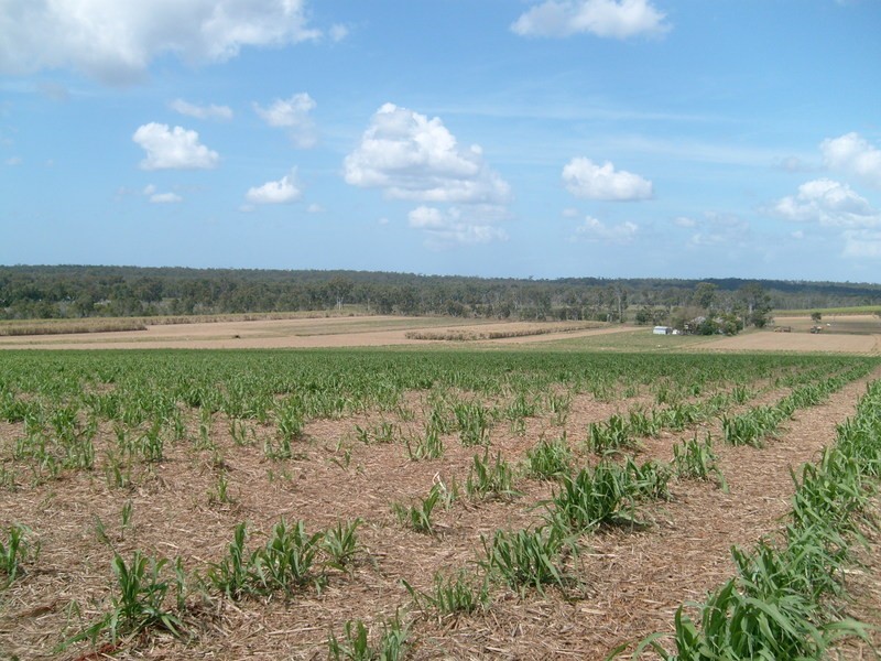 151 Conlons Road, Childers QLD 4660