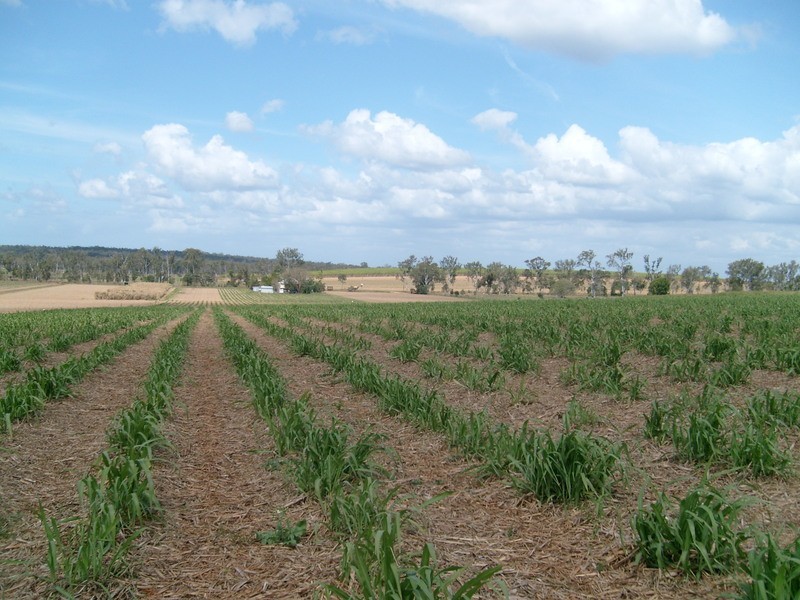 151 Conlons Road, Childers QLD 4660