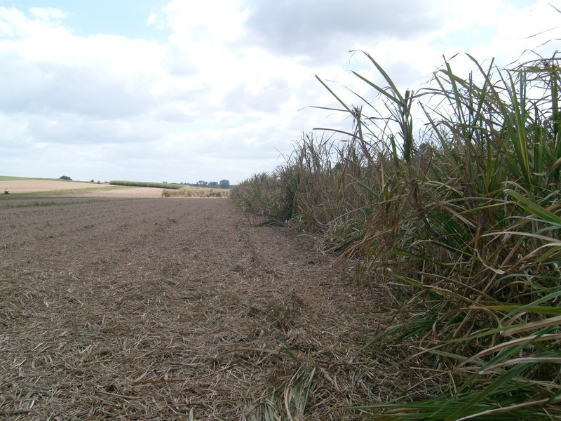 151 Conlons Road, Childers QLD 4660