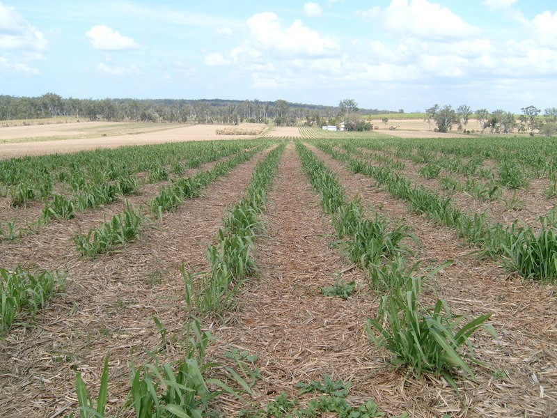 151 Conlons Road, Childers QLD 4660