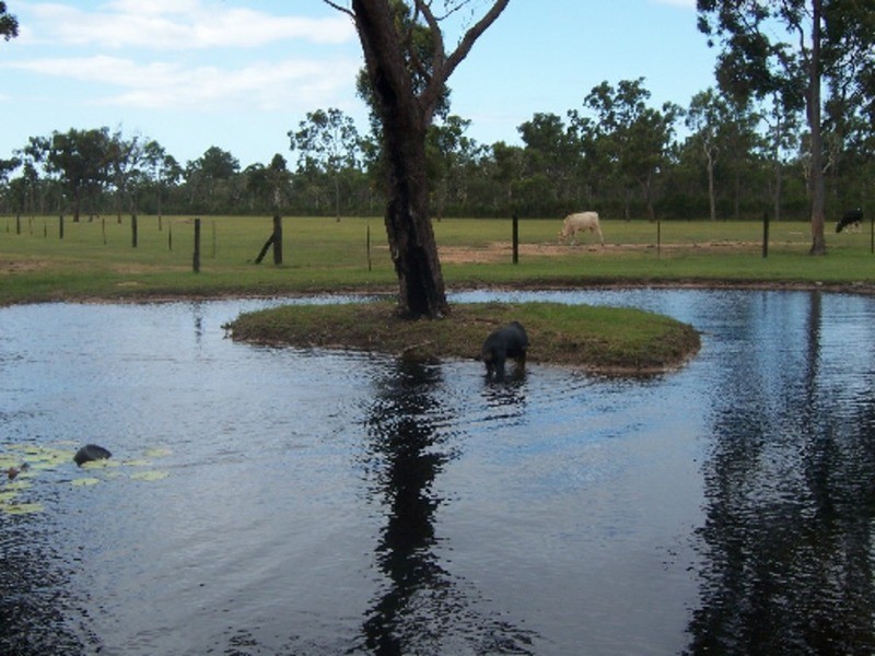 1547 Buxton Road, Buxton QLD 4660