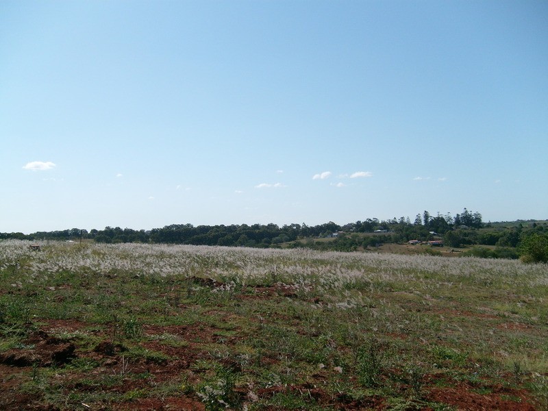 82 Old Creek Road, Childers QLD 4660
