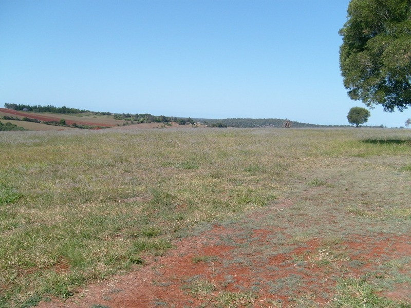 82 Old Creek Road, Childers QLD 4660