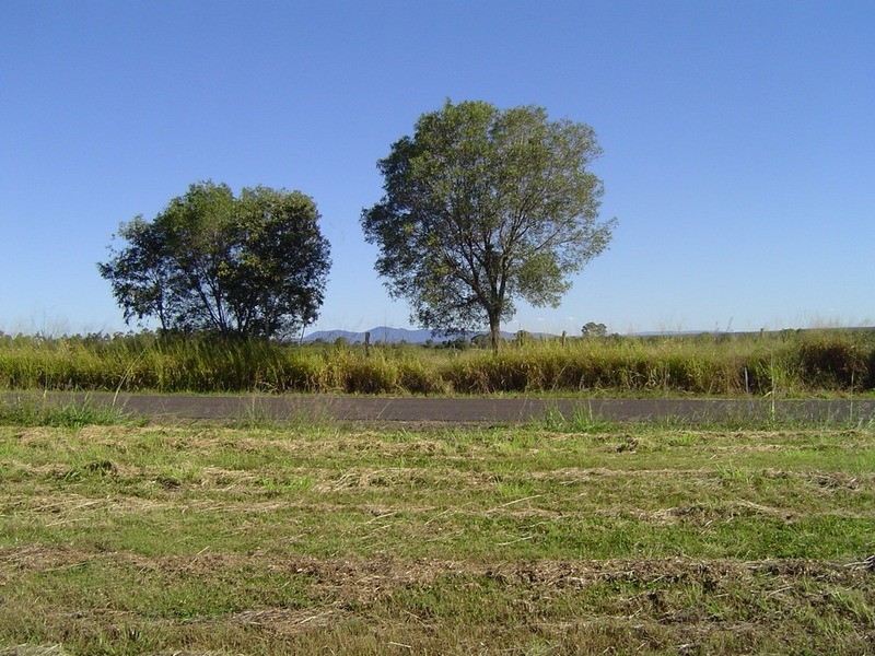 82 Old Creek Road, Childers QLD 4660