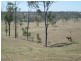 443 Railway Road, Booyal QLD 4671