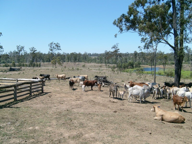 443 Railway Road, Booyal QLD 4671