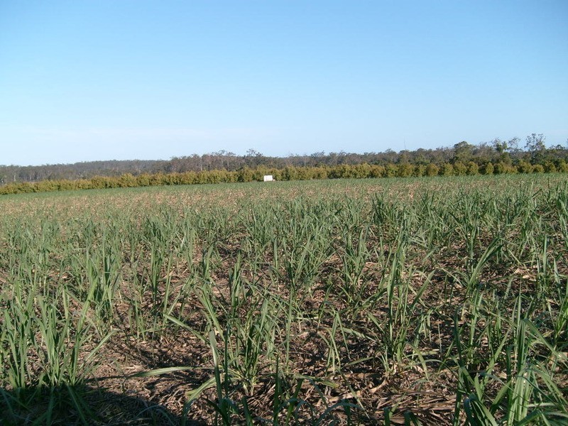 517 Knockroe Road, Childers QLD 4660