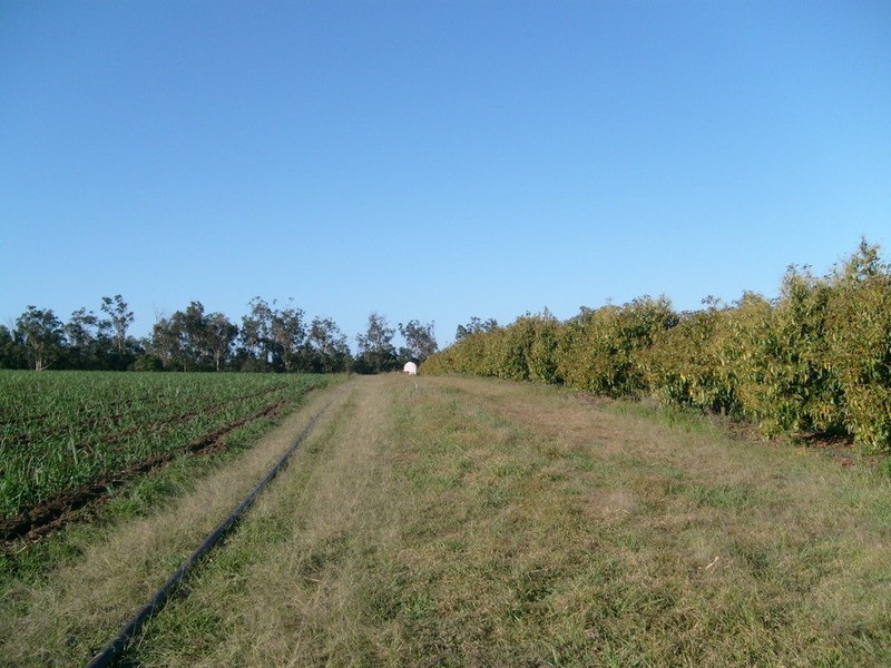 517 Knockroe Road, Childers QLD 4660