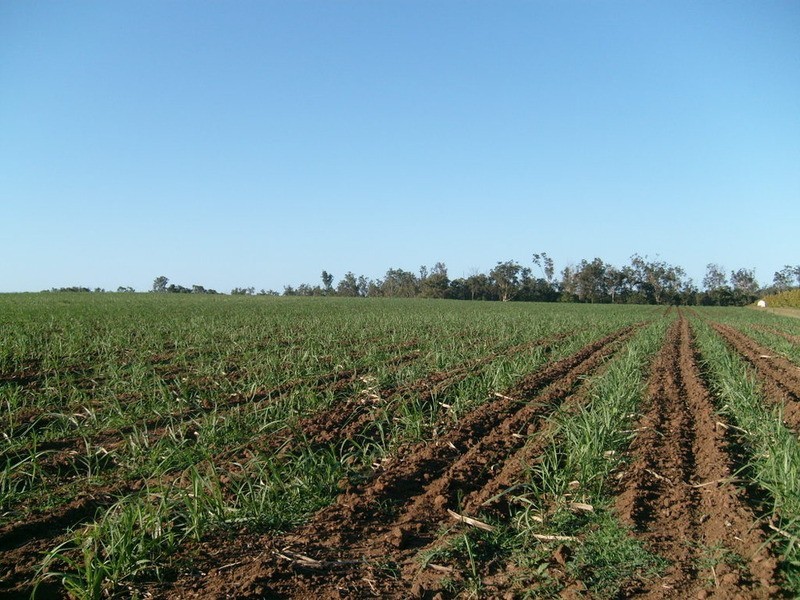 517 Knockroe Road, Childers QLD 4660