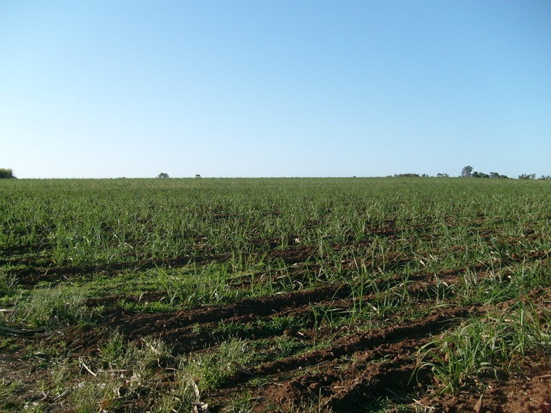 517 Knockroe Road, Childers QLD 4660