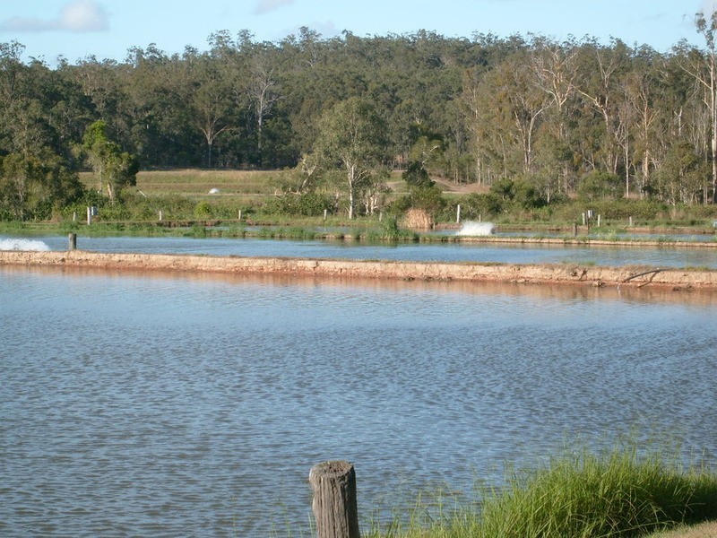 539 Knockroe Road, Childers QLD 4660