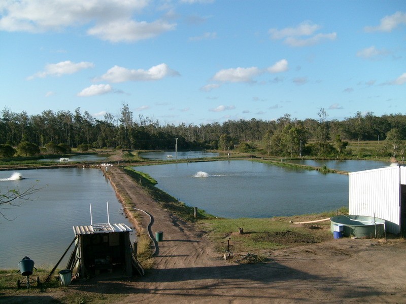 539 Knockroe Road, Childers QLD 4660