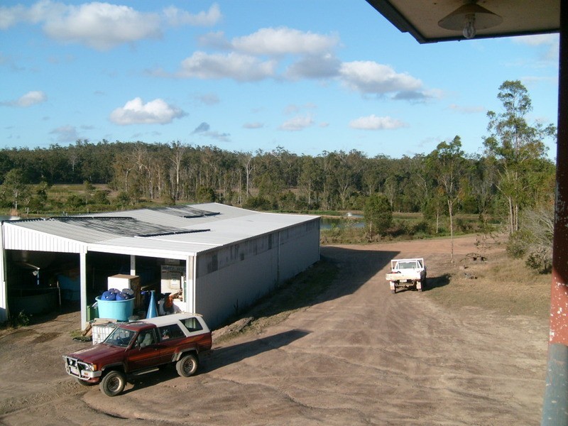 539 Knockroe Road, Childers QLD 4660