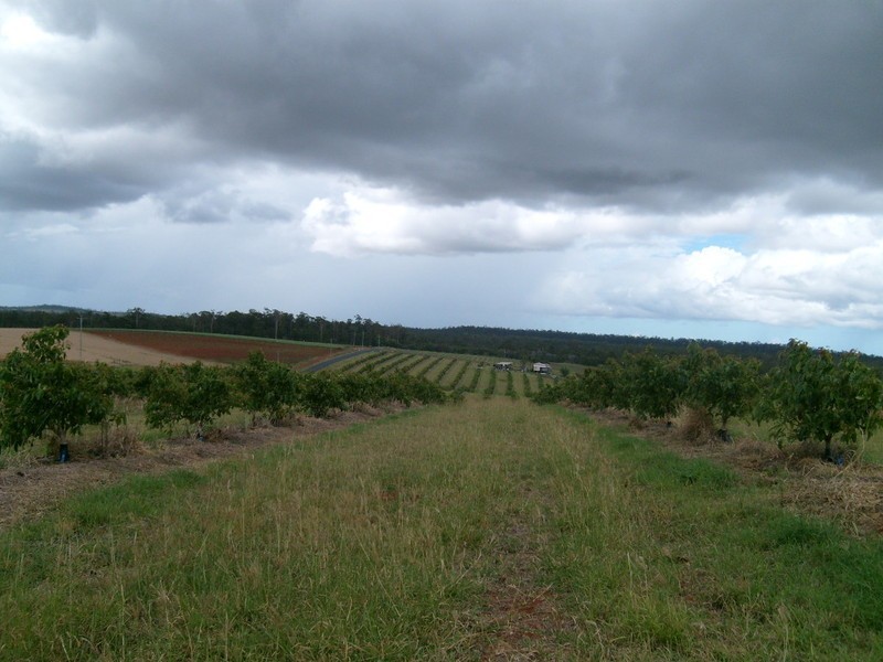 95 Gibsons Road, Childers QLD 4660
