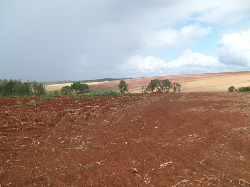 00 Gorries Road, Childers QLD 4660