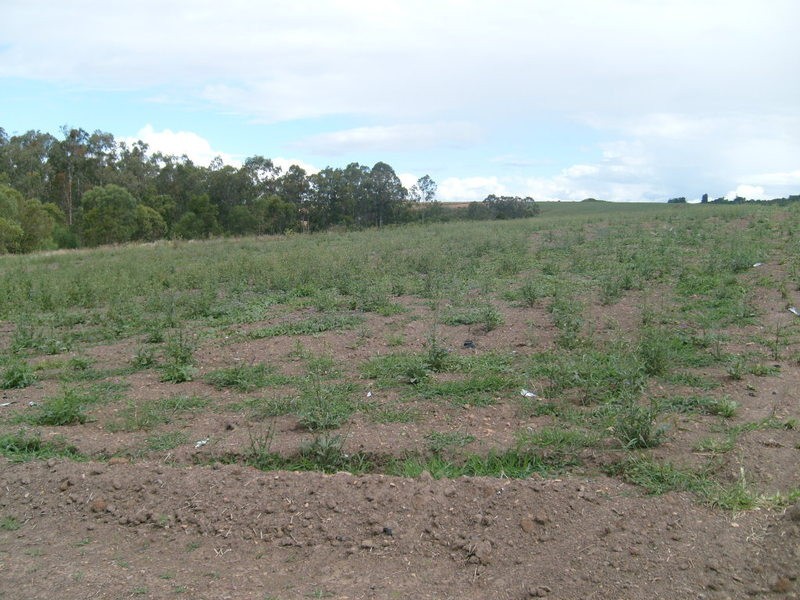 00 Gorries Road, Childers QLD 4660